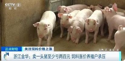 饲料价格上涨 养殖户亏钱养猪卖猪,有养殖户卖一头猪至少亏200元